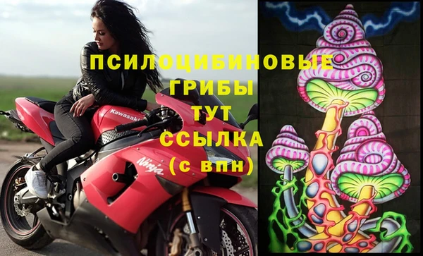 МДПВ Северо-Курильск