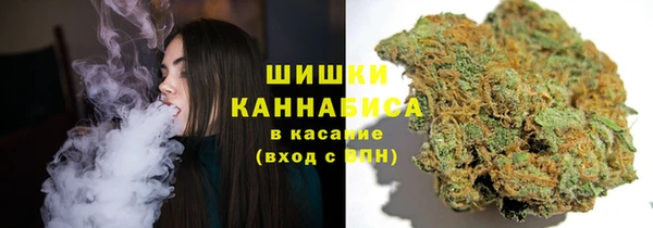 индика Сафоново