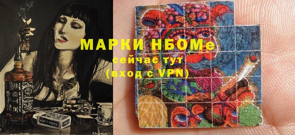 индика Сафоново