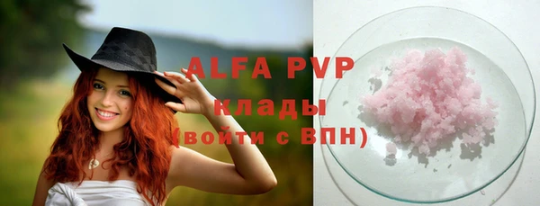 стаф Свободный