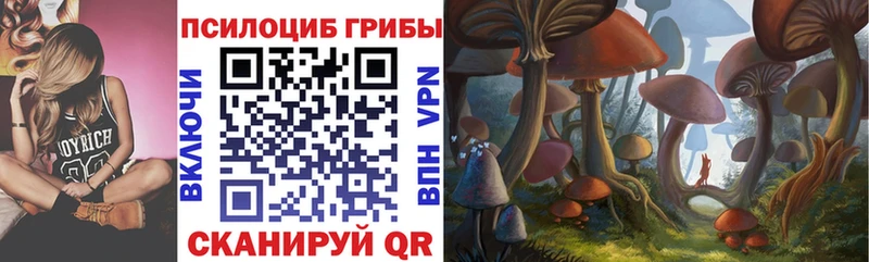 магазин    Трубчевск  Псилоцибиновые грибы Cubensis 