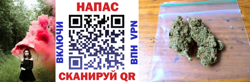 Каннабис конопля  Трубчевск 